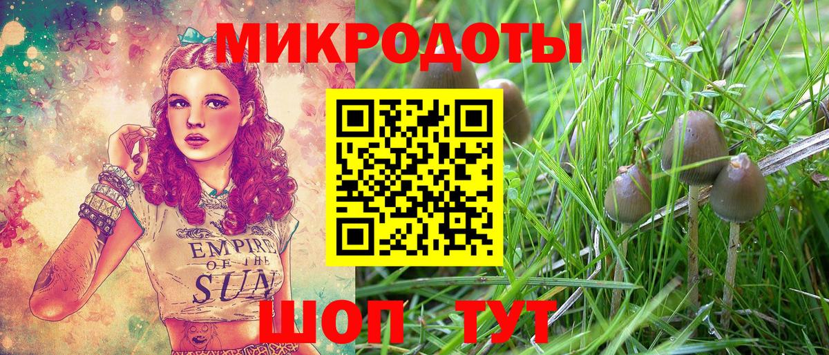 Богородицк  Псилоцибиновые грибы прущие грибы  Вход с VPN  Галлюциногенные грибы мухоморы 