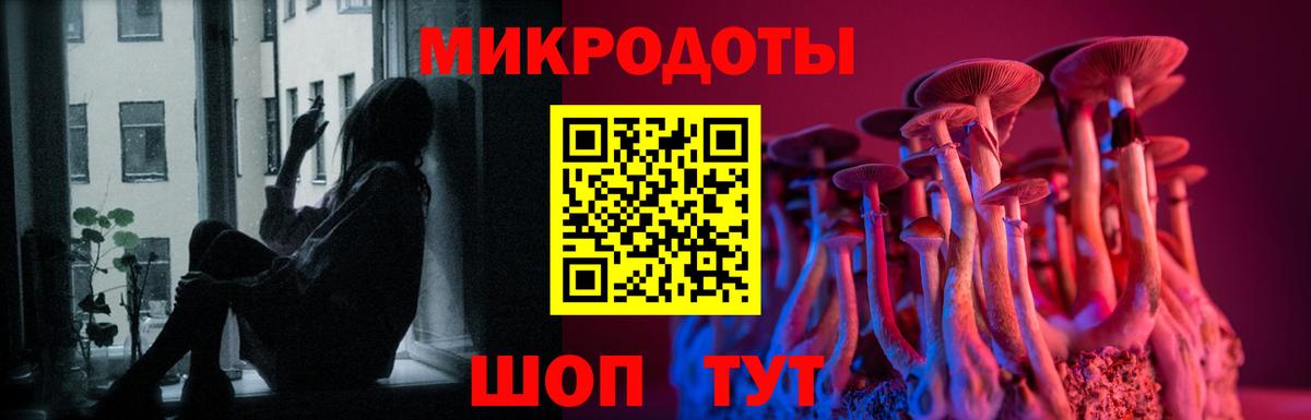 Галлюциногенные грибы Magic Shrooms Богородицк